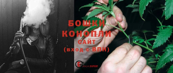 крисы Магадан
