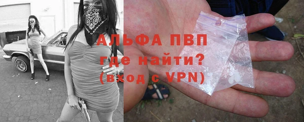 крисы Магадан